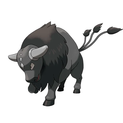 Tauros Paldea Combat Breed