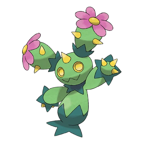 Maractus