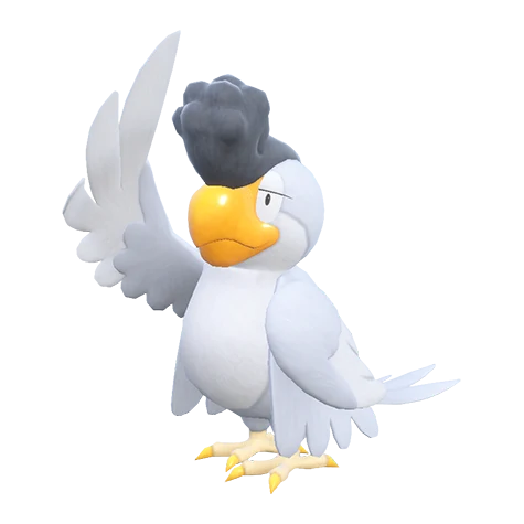 Squawkabilly White Plumage